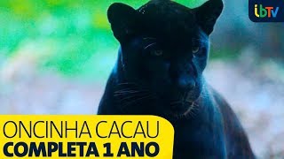 Miniatura do vídeo