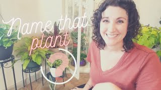 Plant Identification Game | Name That Plant Game Show