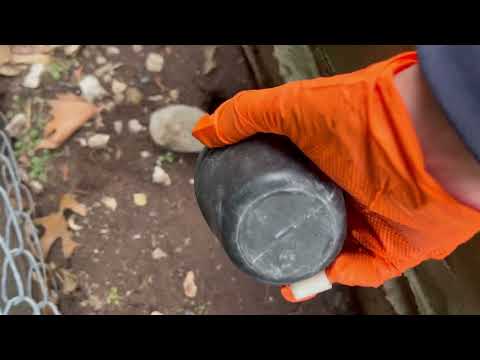 Rat Problem Outside of Business in Highland...