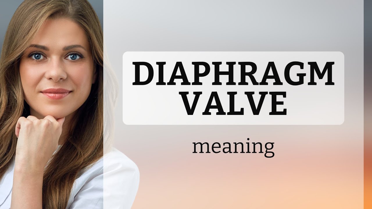 Understanding Diaphragm Valves: A Simple Guide