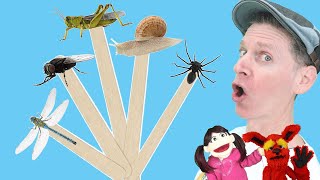 Bugs Part 2 | Pop Sticks Song with Matt | Dream English Kids