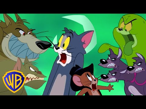 Tom and Jerry Monster Mayhem! | Tom & Jerry | #cartoonsforkids @wbkids