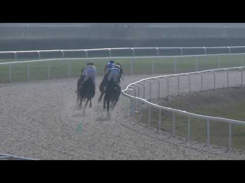 2018.11.11. 02. futam - NYERETLENEK VERSENYE (V.kat.) (szintetikus pálya)