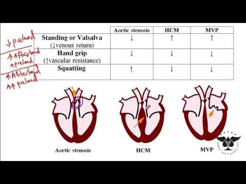 200 - Heart murmur, Aortic Stenosis, Hypertrophic cardiomyopathy, and etc. USMLE step 1, ace