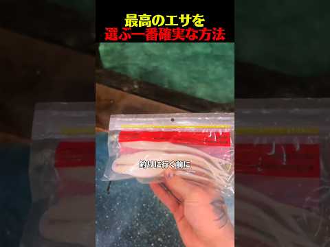 最高のエサを選ぶ一番確実な方法