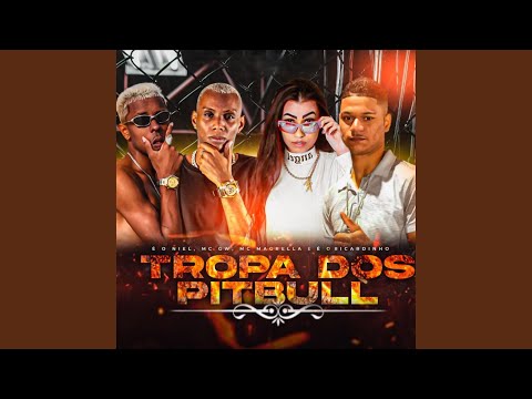 Tropa dos Pitbull