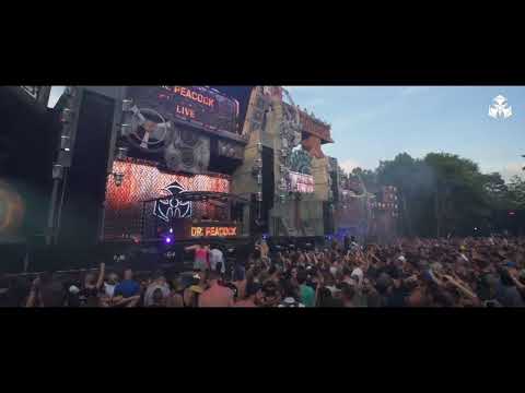 Dominator livesets 2019 - 2023