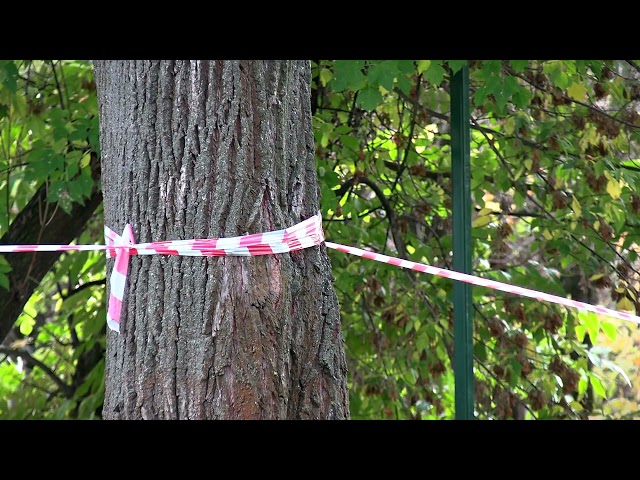 В Твери начались работы в рамках создания культурно-исторического кластера «Речной»