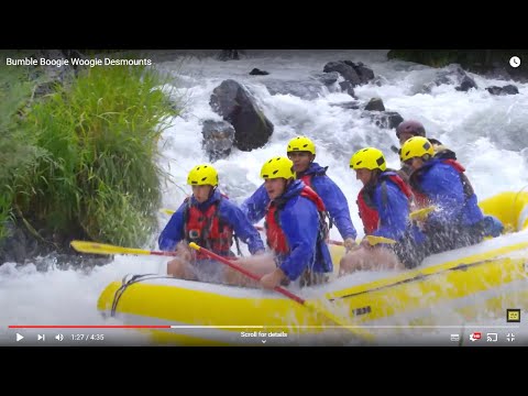 The Desmounts - Bumble Boogie Woogie, fabulous guitar song Surf Rock, Indo Rock Official music Video