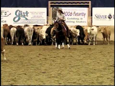 High Style Travalin @ PCCHA Furturity 2006