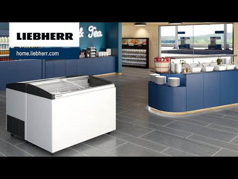 Liebherr EFI 2853 Eiscreme-Gefriertruhe mit Glasschiebedeckel