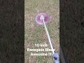 10 Inch Renegade Cutting Blade For Weed Eater