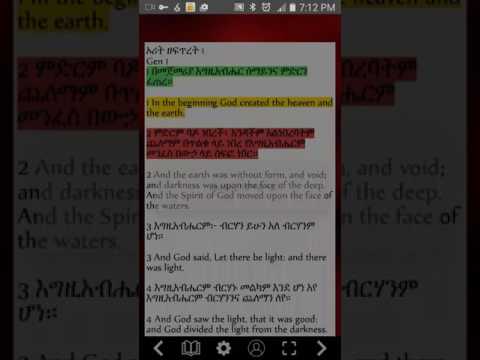 Amharic Bible Flip video