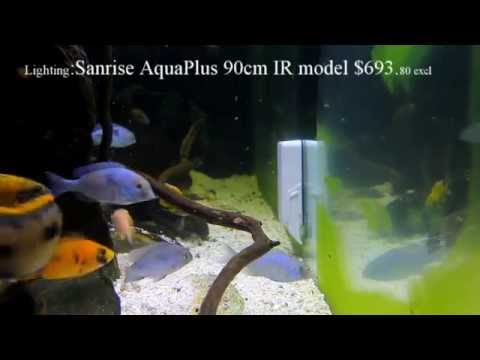 Watch Video on YouTube