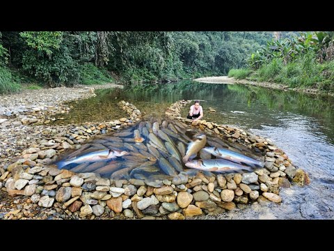 Full video of Ana's 31 days of fishing in the stream. Caught many big fish to sell.