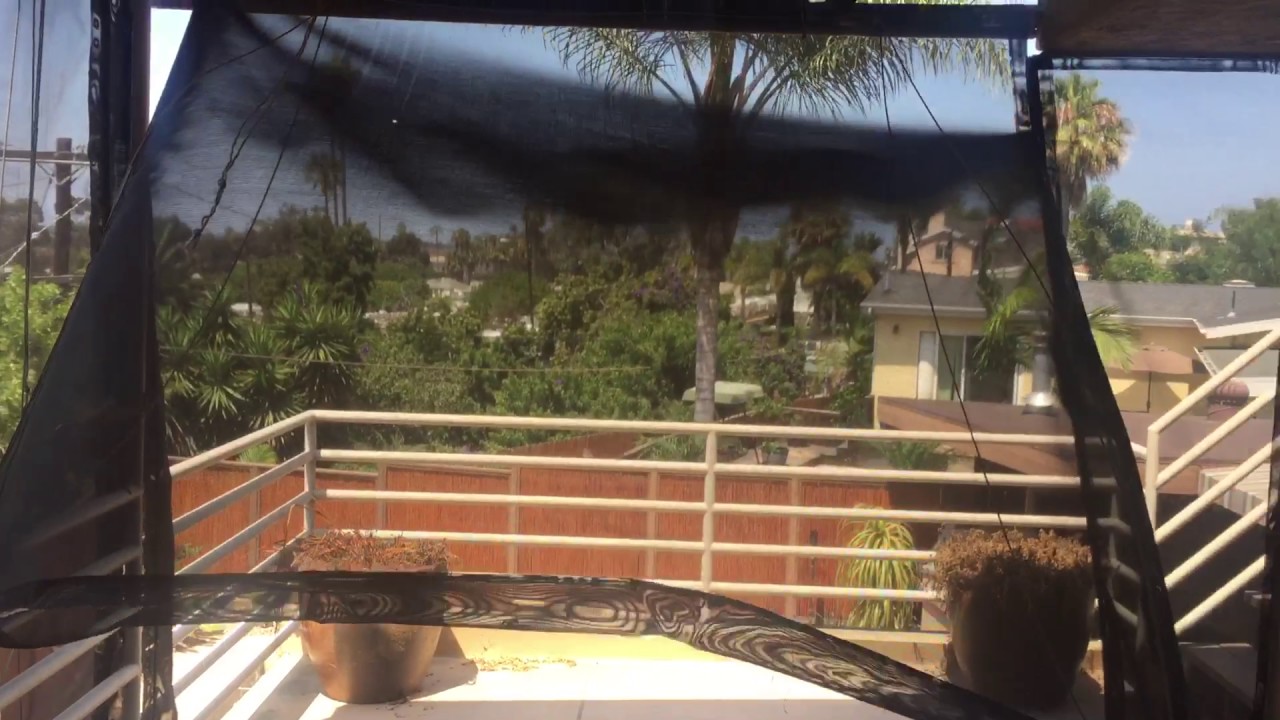 Beauty in Bay Park San Diego!