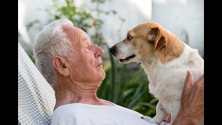 Newswise:Video Embedded pets-in-aged-care-homes-makes-paw-fect-sense-with-new-tool