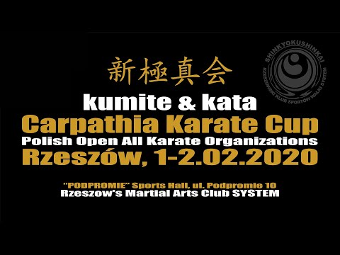 Carpathia Karate Cup 2020