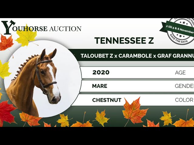Tennessee homevideo