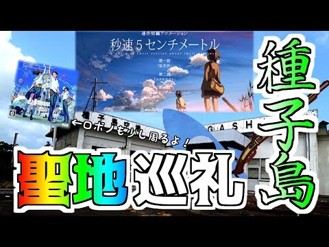 Tanegashima Video
