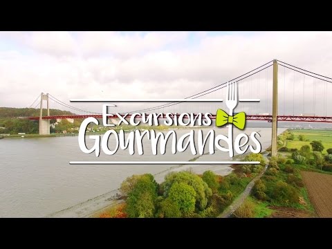 Excursions Gourmandes - Normandie - La saint-jacques normande