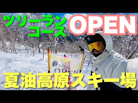 Video: ツリーランコースがオープン！夏油高原スキー場