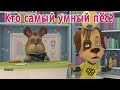 Барбоскины - Кто самый умный Пёс? (трейлер) 