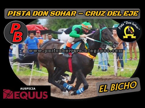 EL BICHO, Pista Don Sohar - Cruz del Eje (14-03-2021)