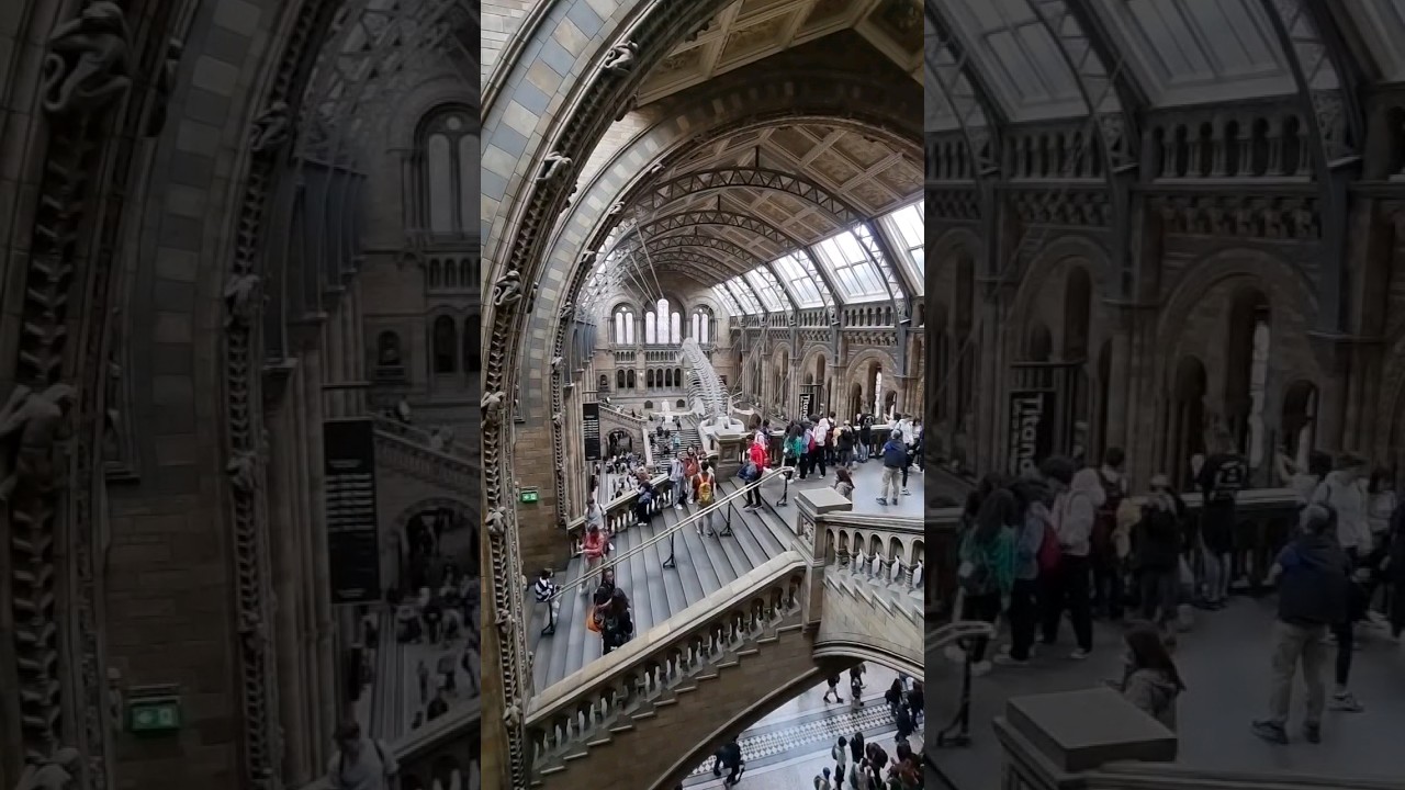 YouTube Short thumbnail