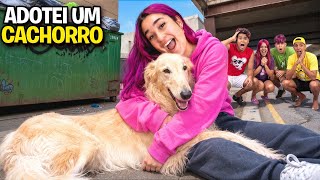 ADOTEI UMA CACHORRINHA DA RUSSIA *Ela se chama Graça !