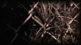 [HD] Secrets || Snow Ghosts Music Video