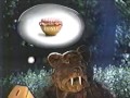 PBS Kids Bear Bumper 2002 WOUB