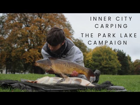 Inner city carping: The park lake campaign
