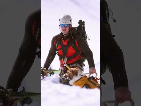 Hunde im Hubschrauber? 🐶 Das gibt es bei der Bergrettung!