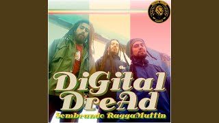 Sembrando Raggamuffin (Again Again)