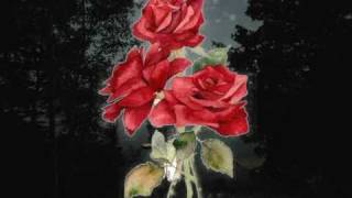 December Band: Moonlight And Roses