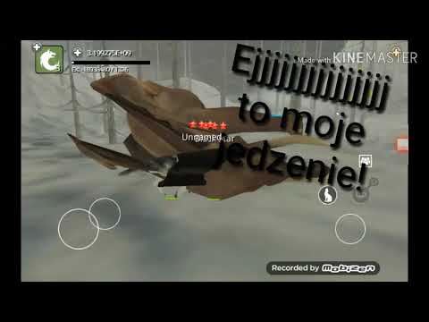 Gramy w Wolf online!