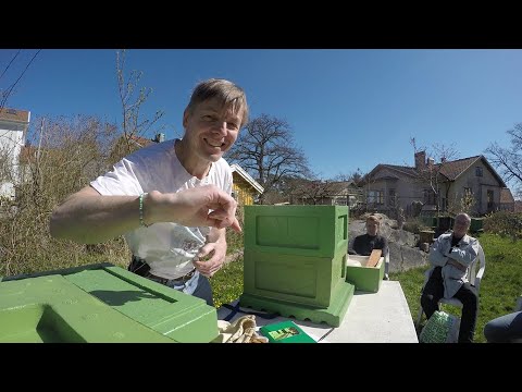 Praktik 1   Invintring och vårinspektion