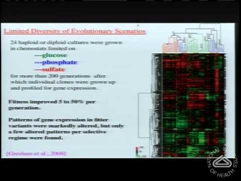 Evolution and Cancer