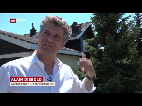 Schotterflächen statt blühende Gärten