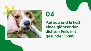 Natürlicher Zeckenschutz und Fellpflege für Hunde mit FORMEL-Z®