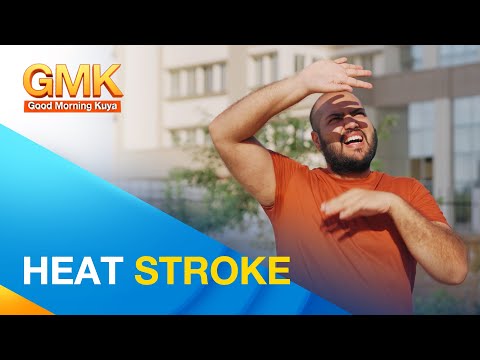 Heat stroke: symptoms, risk factors, treatment and prevention You Can Do It