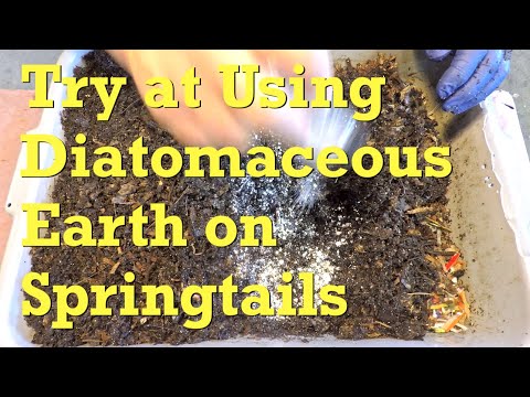 Mixed red worm bin gets Diatomaceous Earth to try reducing springtails - vermicompost