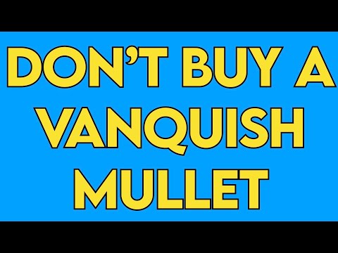 Crawler Canyon Editorial Corner:  Why should you never buy the Vanquish Mullet?