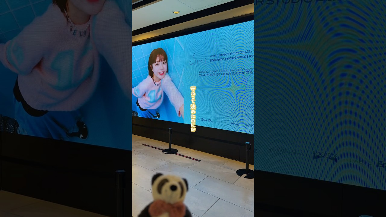 会いに来た❗️#asmi #君がくれたもの