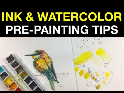 Simple watercolor pre painting tips | draw and paint a bee eater bird with Ink watercolor