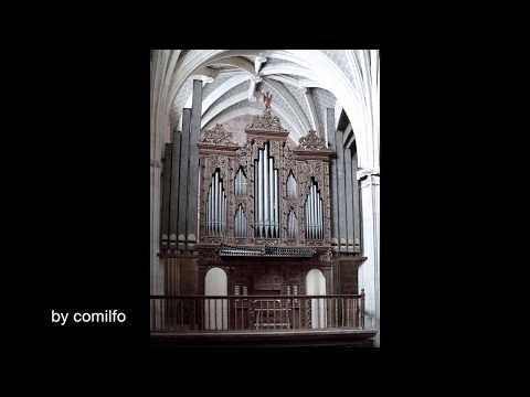 Koos van der Linde 2007 - 2/3, Orgue de Ibdes, Prov. Zaragoza, España