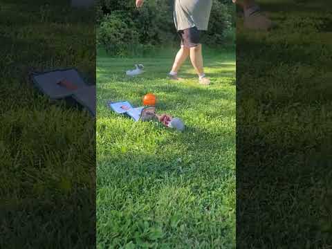 Video 1