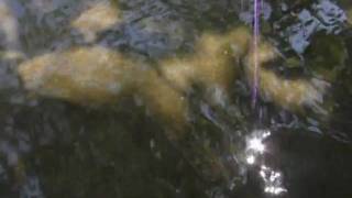 Where Do Songs Come From?