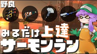 【野良】見るだけ上達サモラン！4kムニエールスタダでジョー狩り🐋カンスト291回【スプラトゥーン3/サーモンランNW】